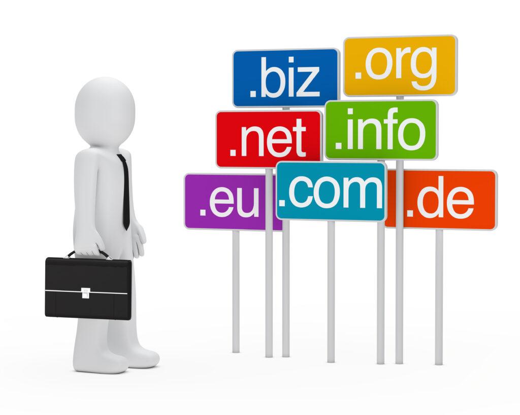 choose domain and web hosting